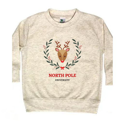 North Pole University Pullover